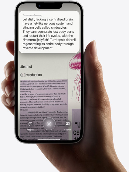 Eine Hand hält ein iPhone 16e, das die Ergebnisse einer Suche mit visueller Intelligenz zeigt.