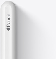 Den øverste del af Apple Pencil (2. generation) vist med afrundet top, Apple-logo og ordet Pencil.