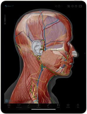 iPad Airにヒューマン・アナトミー・アトラスアプリが表示されている