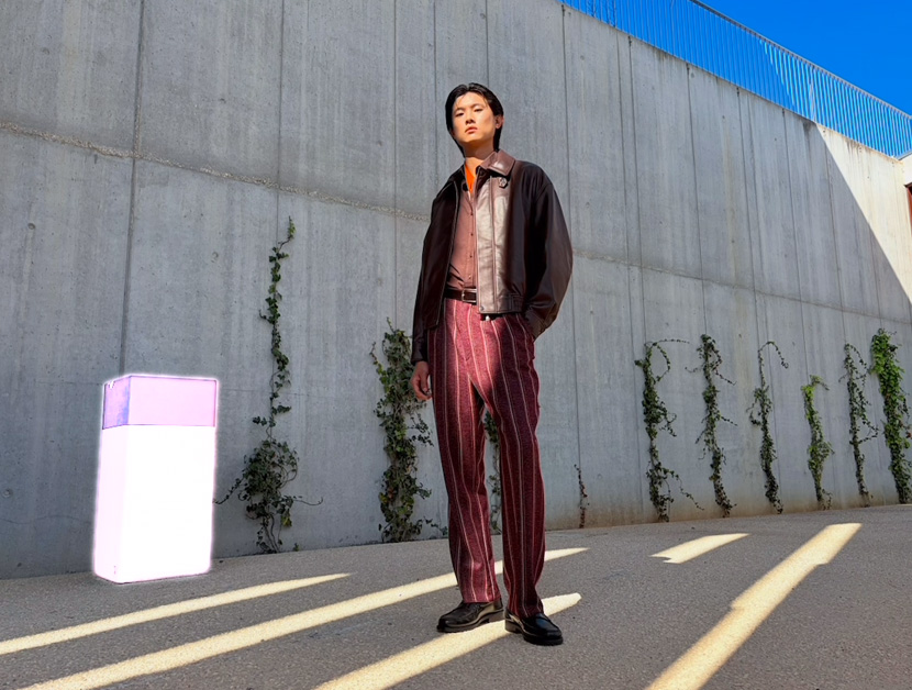 Ferramenta de Limpeza da Apple Intelligence destacando um objeto no segundo plano de uma foto