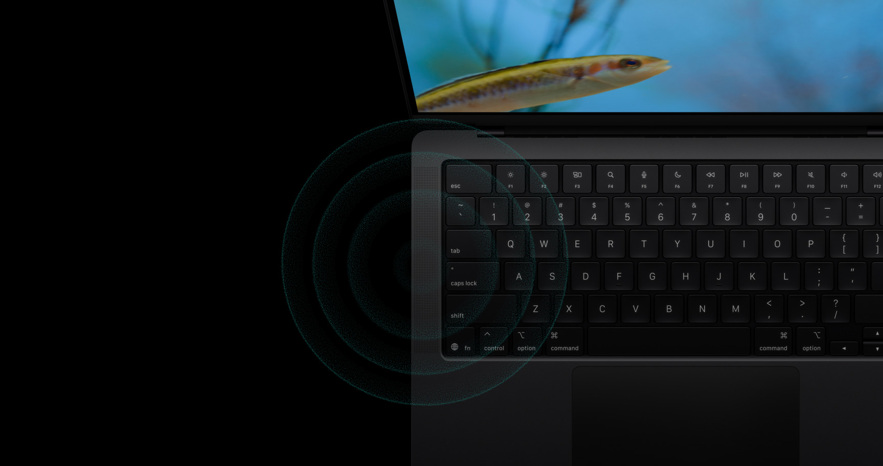 produktvisare ljud fallback alt